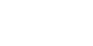 Team Viewer